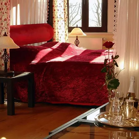 Hotel Burghotel 4*